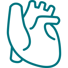 Cardiología No invasiva